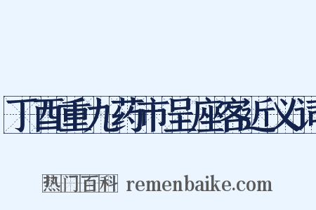 丁酉重九药市呈座客近义词是什么意思的图片